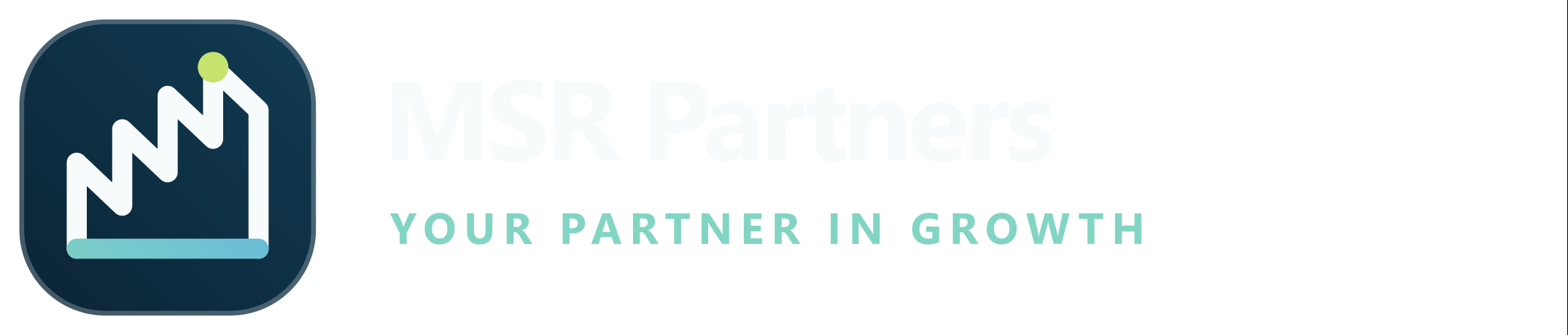 MSR Partners. Your partner in growth.